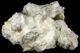 Calcite Crystal Cluster with Pyrite - Morocco #133711-3